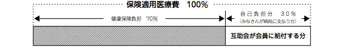 治療費の自己負担