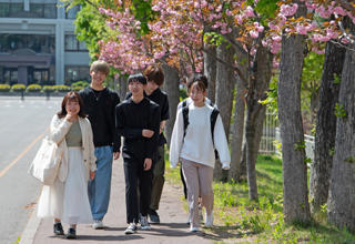 入学前教育